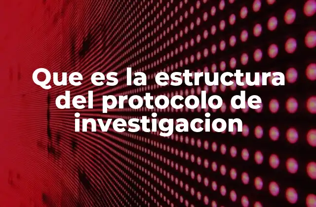 Que es la Estructura Del Protocolo de Investigacion 2 La importancia de una organización clara en los proyectos científicos