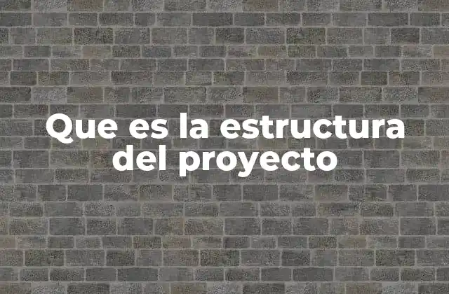 Que es la Estructura Del Proyecto
