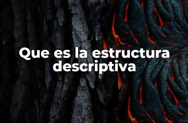 Que es la Estructura Descriptiva