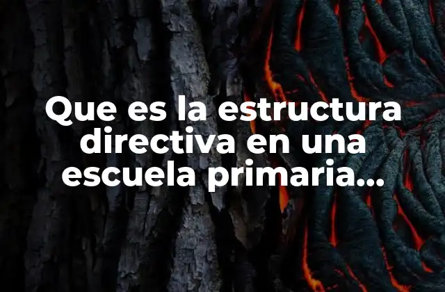 Que es la Estructura Directiva en una Escuela Primaria Redalyc