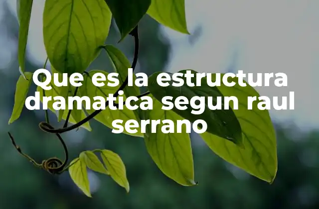 Que es la Estructura Dramatica Segun Raul Serrano