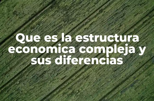 Que es la Estructura Economica Compleja y Sus Diferencias