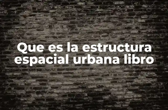 Que es la Estructura Espacial Urbana Libro