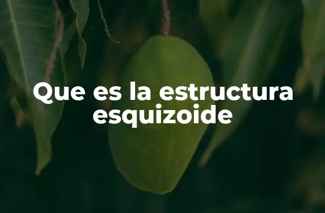 Que es la Estructura Esquizoide 2 Características de la estructura esquizoide