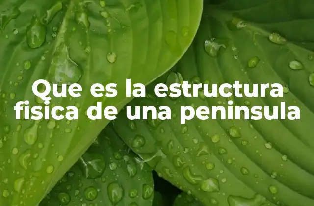 Que es la Estructura Fisica de una Peninsula 2 Características morfológicas de las penínsulas