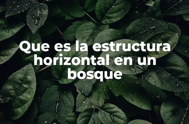 Que es la Estructura Horizontal en un Bosque