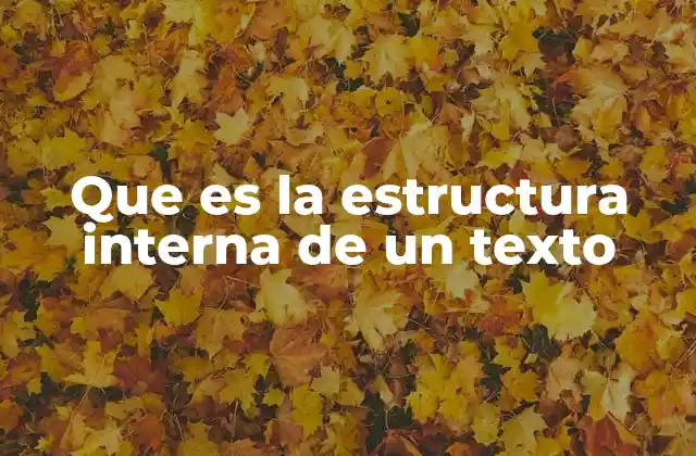 Que es la Estructura Interna de un Texto