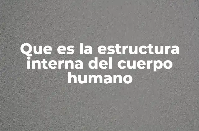 Que es la Estructura Interna Del Cuerpo Humano