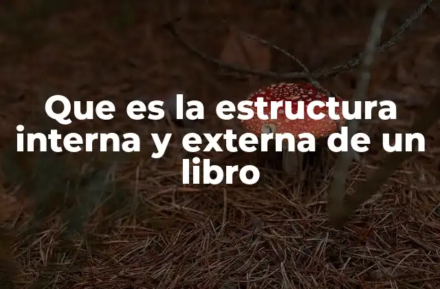 Que es la Estructura Interna y Externa de un Libro