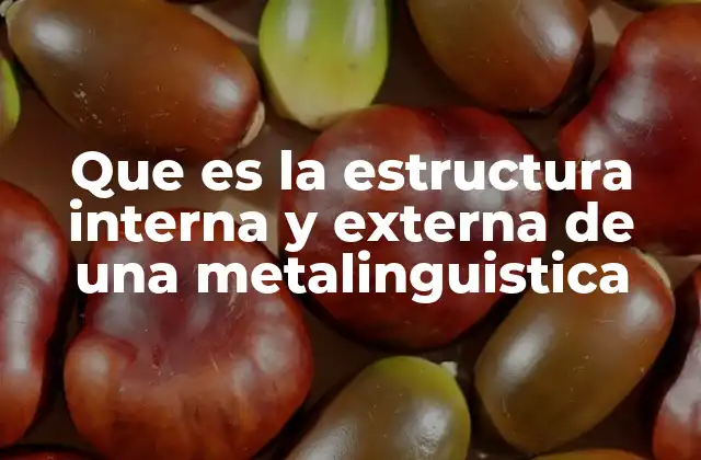 Que es la Estructura Interna y Externa de una Metalinguistica
