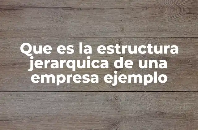 Que es la Estructura Jerarquica de una Empresa Ejemplo