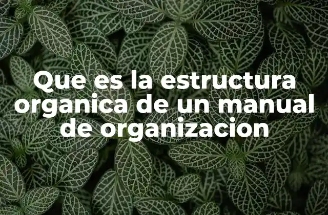 Que es la Estructura Organica de un Manual de Organizacion