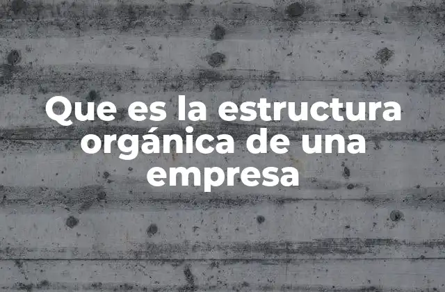 Que es la Estructura Orgánica de una Empresa