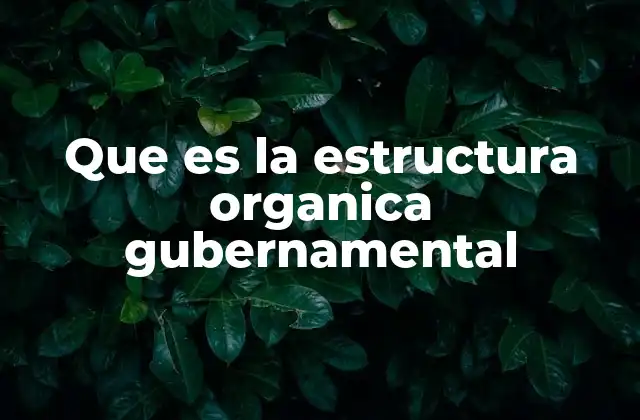 Que es la Estructura Organica Gubernamental