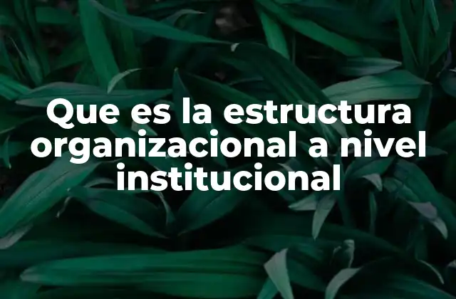Que es la Estructura Organizacional a Nivel Institucional