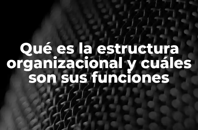 Qué es la Estructura Organizacional y Cuáles Son Sus Funciones