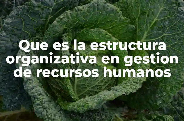Que es la Estructura Organizativa en Gestion de Recursos Humanos