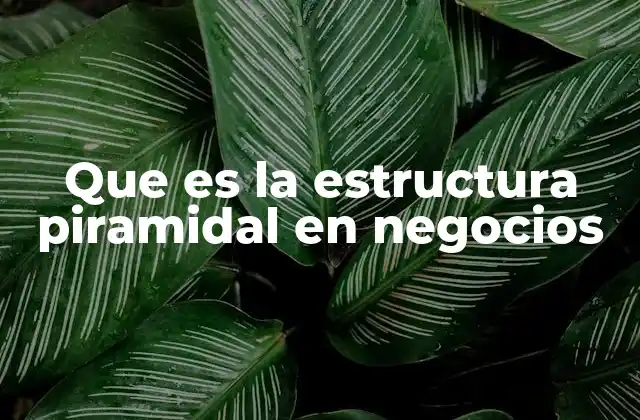 Que es la Estructura Piramidal en Negocios
