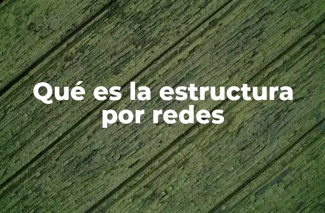 Qué es la Estructura por Redes