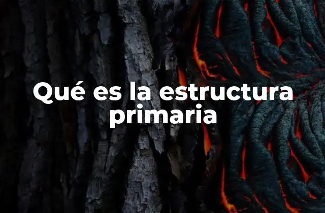 La base fundamental de la organización molecular