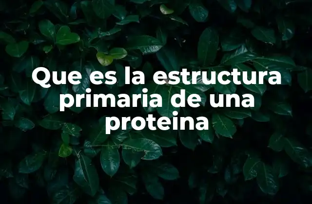 La base molecular de la organización de las proteínas