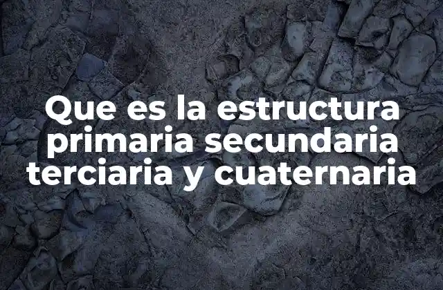 Que es la Estructura Primaria Secundaria Terciaria y Cuaternaria