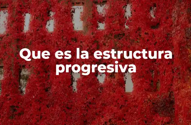Que es la Estructura Progresiva 2 El enfoque progresivo en el aprendizaje