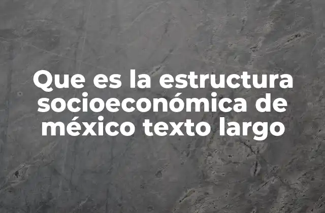 Que es la Estructura Socioeconómica de México Texto Largo