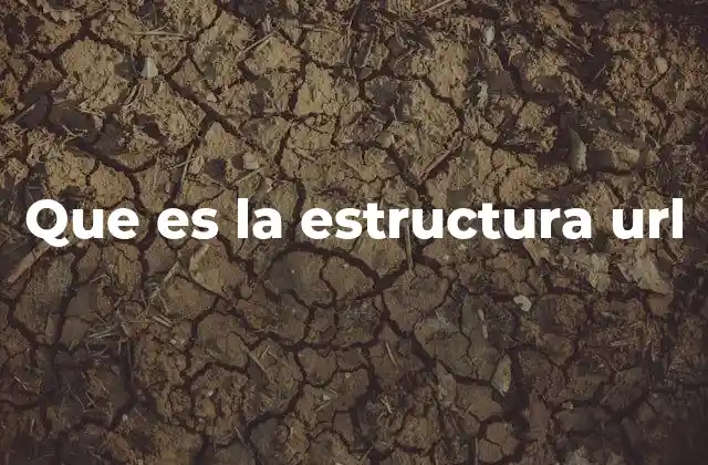 Que es la Estructura Url