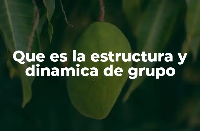 Que es la Estructura y Dinamica de Grupo