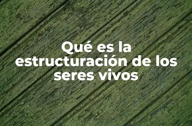 Qué es la Estructuración de los Seres Vivos