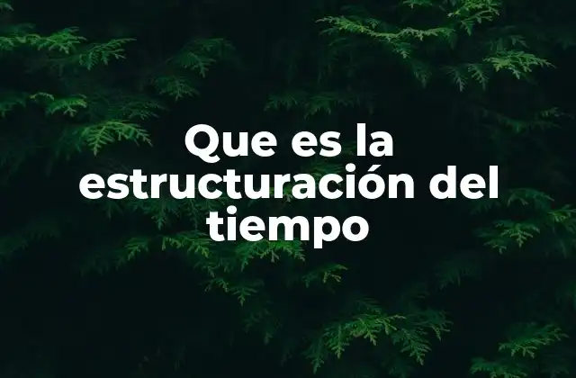 Que es la Estructuración Del Tiempo