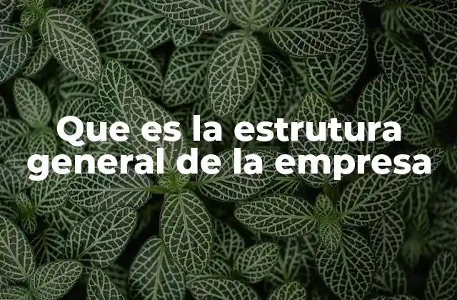 Que es la Estrutura General de la Empresa