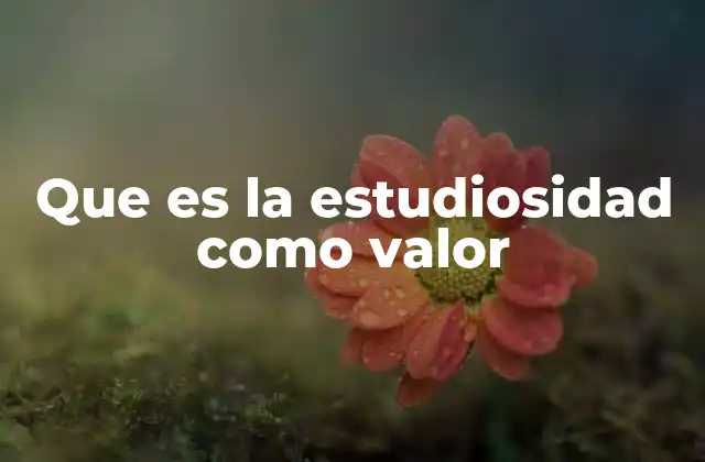Que es la Estudiosidad como Valor