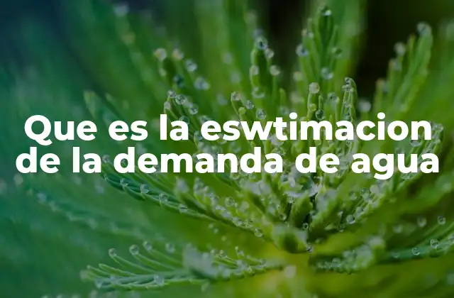 La importancia de calcular con precisión los requerimientos hídricos