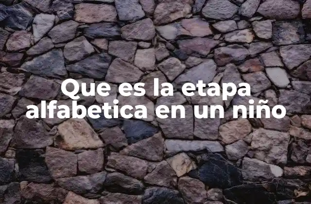 Que es la Etapa Alfabetica en un Niño