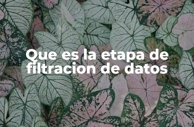Que es la Etapa de Filtracion de Datos
