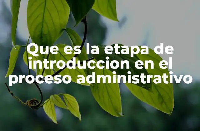 Que es la Etapa de Introduccion en el Proceso Administrativo 2 El papel de la etapa inicial en la administración de proyectos