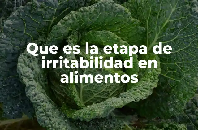 Que es la Etapa de Irritabilidad en Alimentos 2 Cómo se manifiesta la irritabilidad alimentaria en el cuerpo