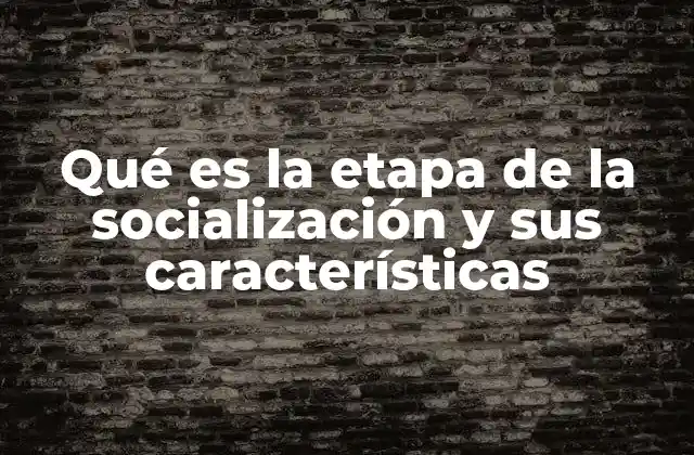 Qué es la Etapa de la Socialización y Sus Características