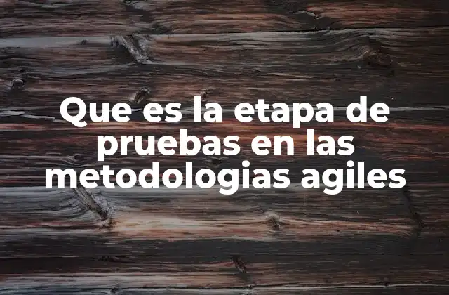 Que es la Etapa de Pruebas en las Metodologias Agiles