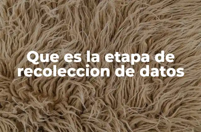 Que es la Etapa de Recoleccion de Datos