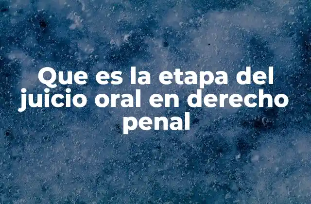 Que es la Etapa Del Juicio Oral en Derecho Penal