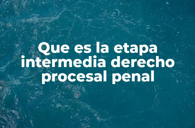 Que es la Etapa Intermedia Derecho Procesal Penal