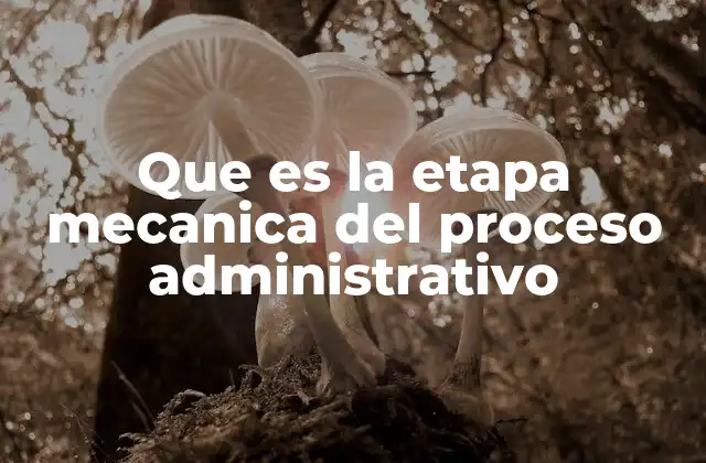 Que es la Etapa Mecanica Del Proceso Administrativo