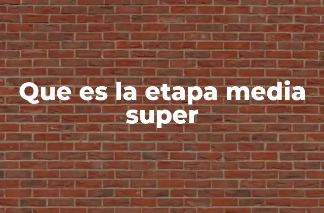 Que es la Etapa Media Super