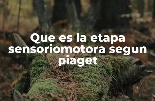 Que es la Etapa Sensoriomotora Segun Piaget