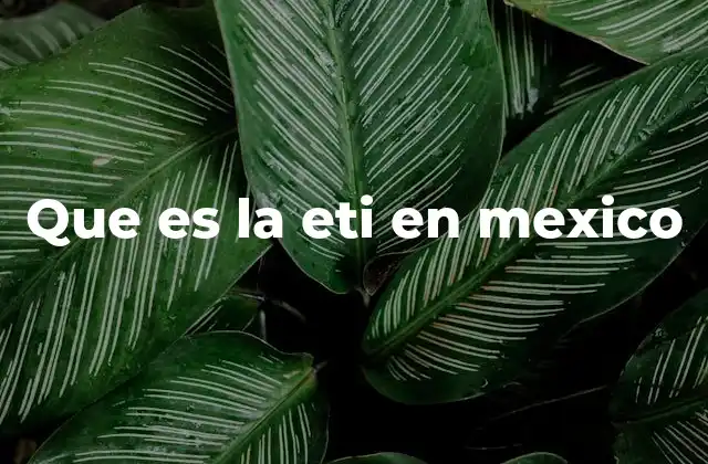 Que es la Eti en Mexico