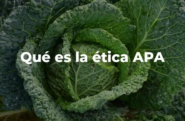 Qué es la Ética Apa