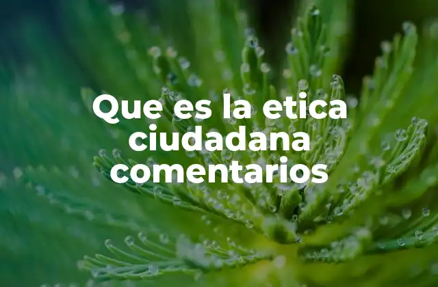 La participación ciudadana y el impacto ético